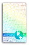 hologram overlays