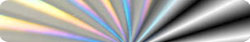 hologram Labels