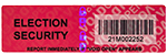 Election Security Seals