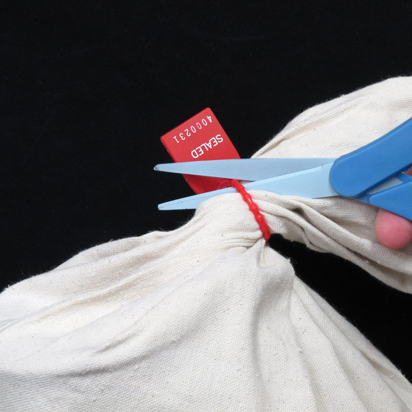 Plastic Adjustable Truck Seal