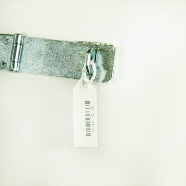 Plastic Adjustable Truck Seal