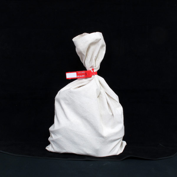 Plastic Adjustable Truck Seal