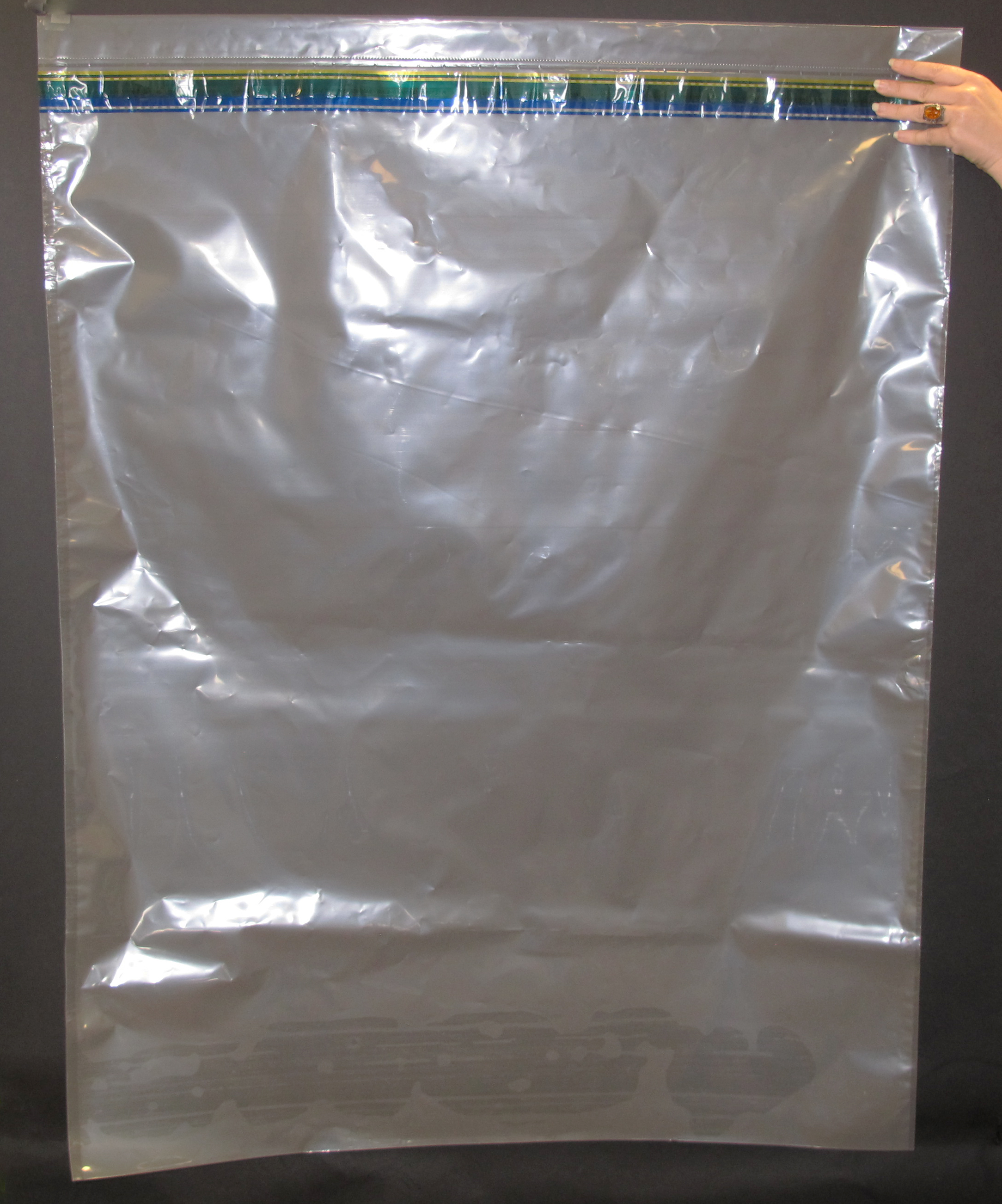 Security Bag  Clear/Plastic - PDC (8620F-14-PDO)