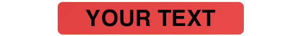 Tamper Evident Security Label
