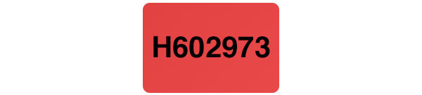 Tamper Evident Security Label