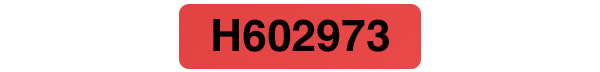 Tamper Evident Security Label