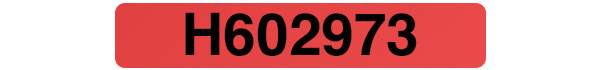 Tamper Evident Security Label
