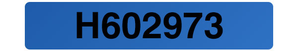 Tamper Evident Security Label