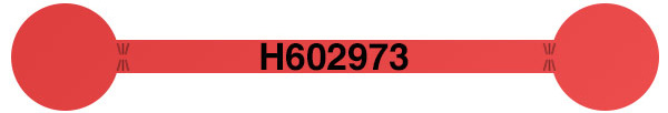 Tamper Evident Security Label