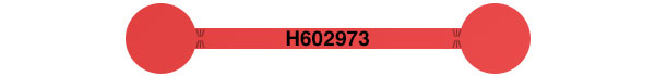 Tamper Evident Security Label