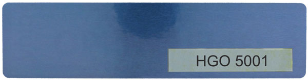 Tamper Evident Security Label