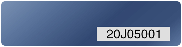 Tamper Evident Security Label