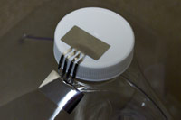 tamper evident label