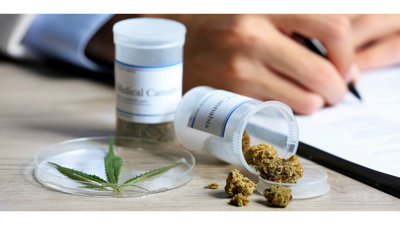 Doctor prescribing medical cannabis